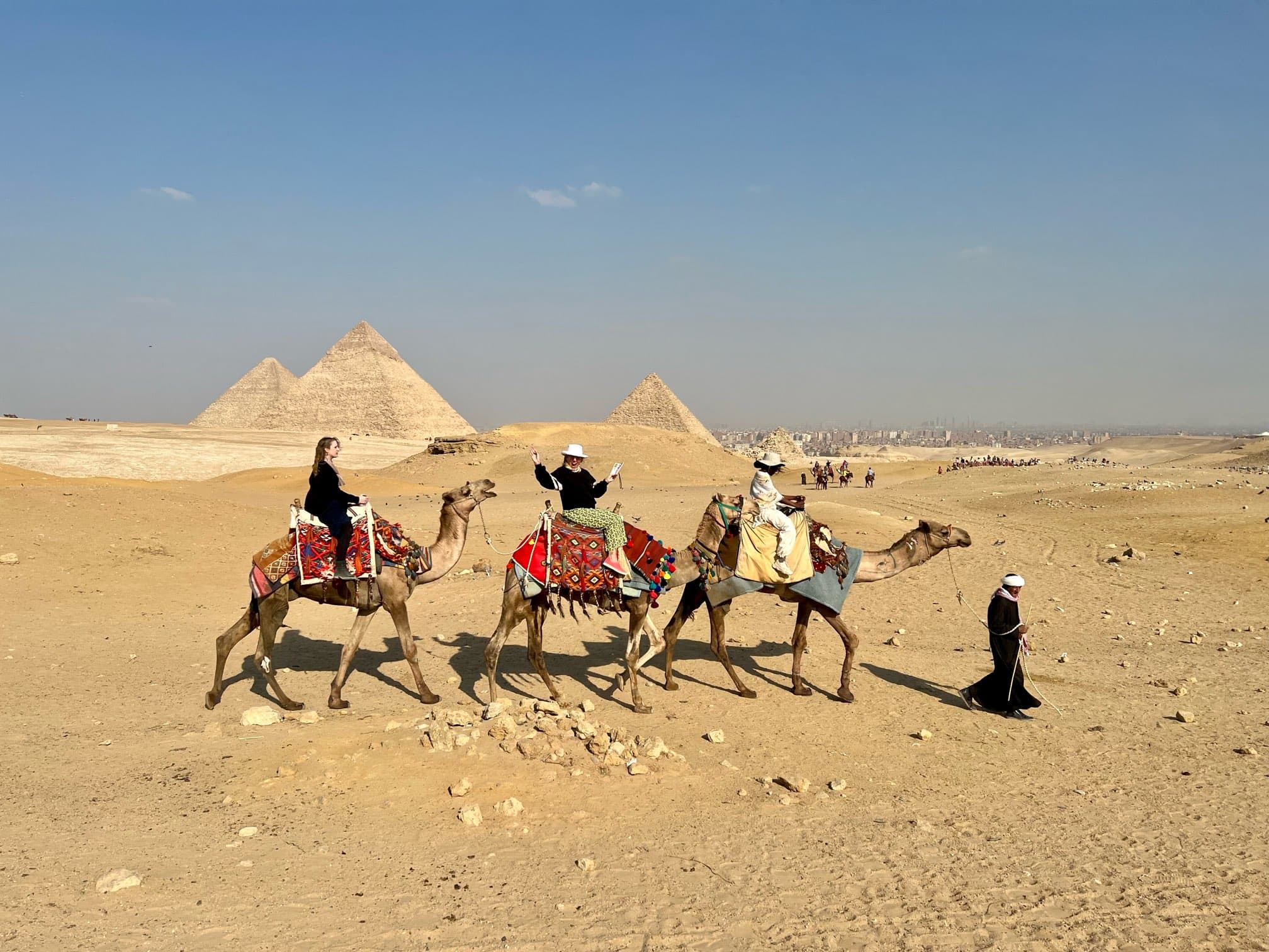 Camel ride  on Giza Plateau with panoramic view of the Giza Pyramids